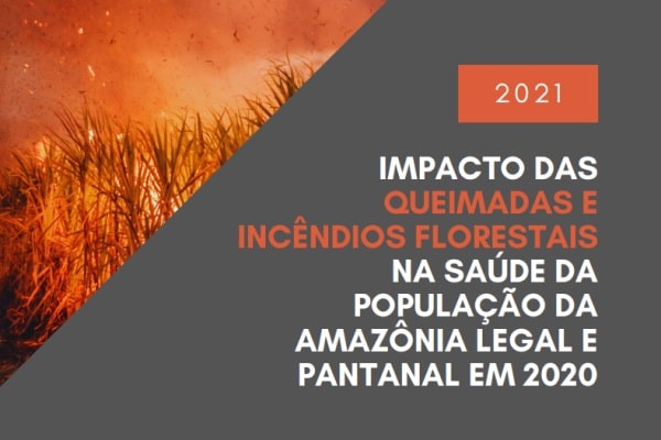 Especialistas Divulgam An Lise Sobre Os Impactos Das Queimadas Na